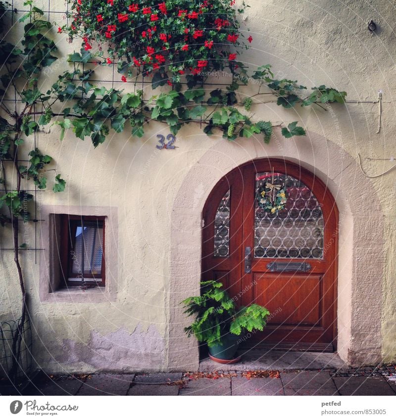 Häusliche Ansichten VII Pflanze Efeu Blüte Grünpflanze Haus Mauer Wand Fassade Fenster Tür Stein Holz Glas niedlich braun grün rot Geborgenheit Häusliches Leben