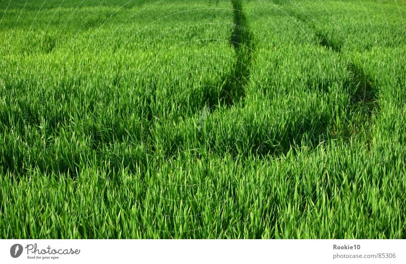 ...ins grüne fahren... Wiese Sommer Physik Wege & Pfade Natur Wärme