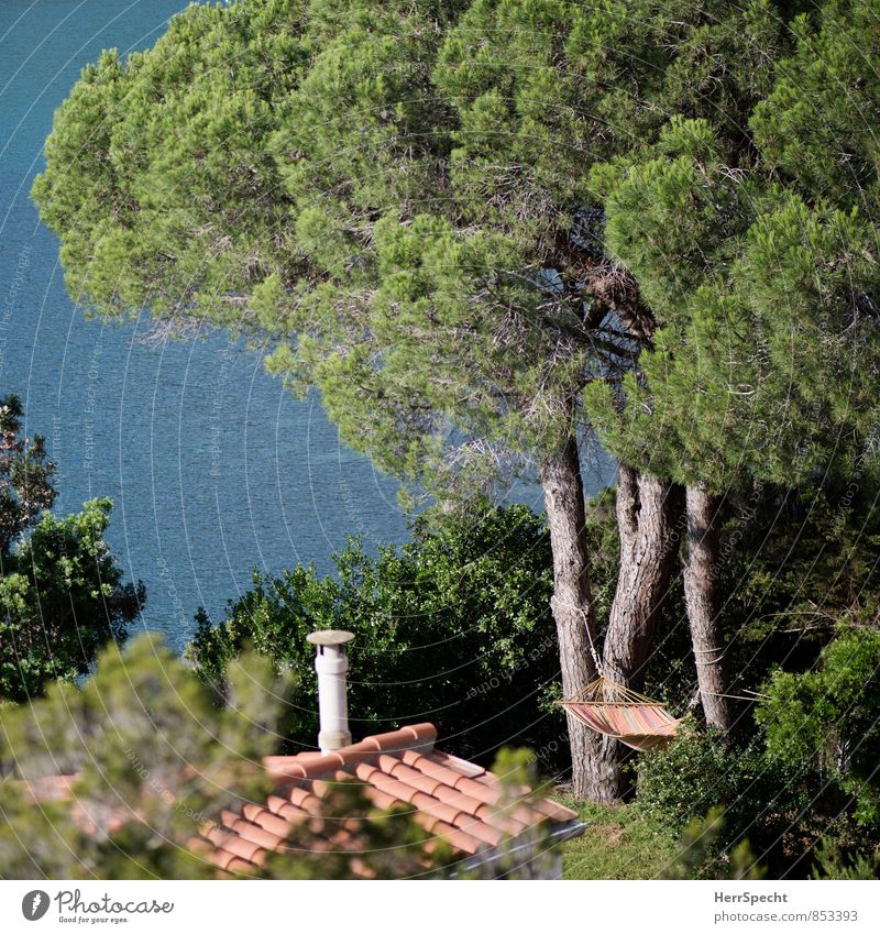 Mal abhängen Ferien & Urlaub & Reisen Tourismus Ferne Sommer Sommerurlaub Sonne Meer Häusliches Leben Haus Traumhaus Umwelt Natur Landschaft Schönes Wetter