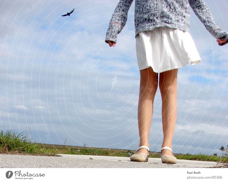 Die Erde scheint zu rutschen parallel Horizont Adler Tier stehen standhaft stark wackelig unsicher Schuhe Jacke Sträucher fallen Spielen vertrauen .stand sure