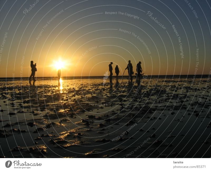 watt is dat? dat is watt! Sonnenuntergang Gegenlicht Abend Strand Küste Menschengruppe Schifffahrt Wattenmeer Himmel Wasser Abenddämmerung