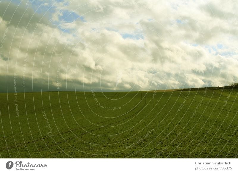 The Green Mile V1 Luft Feld grün Wiese Auftrag Grünfläche Ackerbau Gras Planet Wolken XP Stephen King Himmel Landschaft windows Paradies Weide Rasen