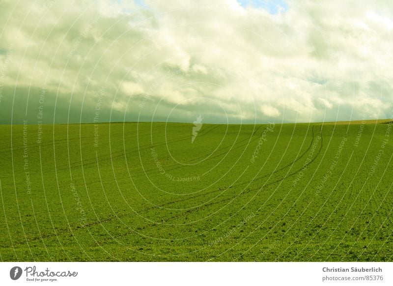 The Green Mile V2 Luft Feld grün Wiese Auftrag Grünfläche Ackerbau Gras Planet Wolken XP Stephen King Himmel Landschaft windows Paradies Weide Rasen