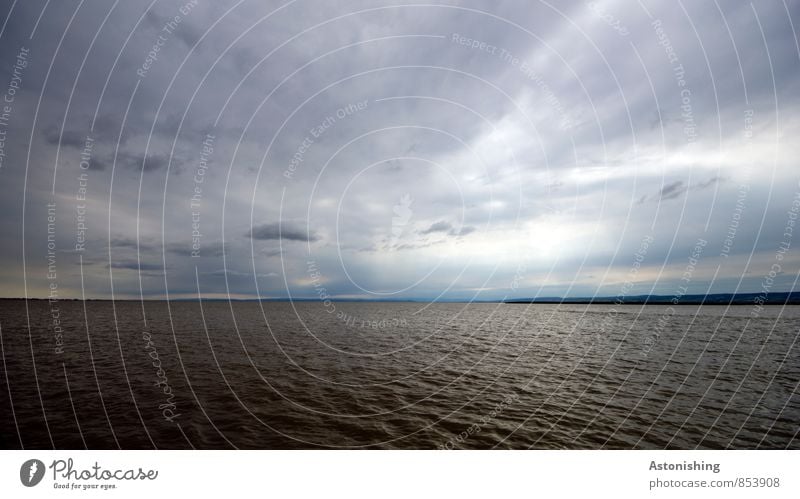 dunkler See Umwelt Natur Landschaft Luft Wasser Himmel Wolken Gewitterwolken Horizont Sommer Wetter Unwetter Neusiedler See dunkel groß kalt blau braun