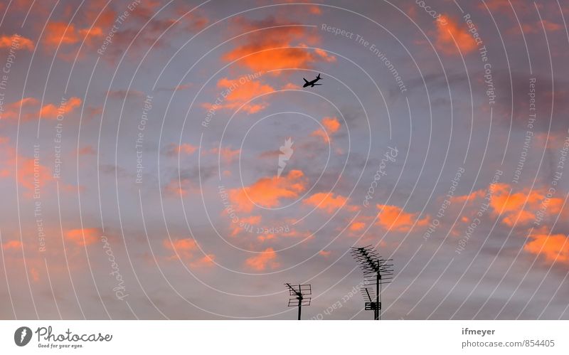 Himmel Luft nur Himmel Wolken Sonnenaufgang Sonnenuntergang Sonnenlicht Stadt Flughafen Antenne Verkehr Verkehrsmittel Luftverkehr Flugzeug Passagierflugzeug