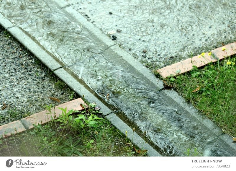 Regen fließt kreuz und quer durch den Garten Umwelt Natur Erde Wasser Wassertropfen schlechtes Wetter Gras Wiese Stadt Stadtrand Menschenleer Gebäude