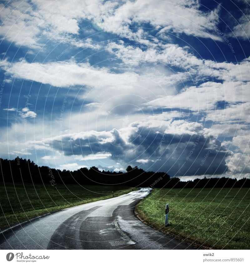 Geradewegs Ausflug Ferne Freiheit Umwelt Natur Landschaft Luft Himmel Wolken Horizont Klima Wetter Schönes Wetter Pflanze Gras Wiese Wald Königshainer Berge