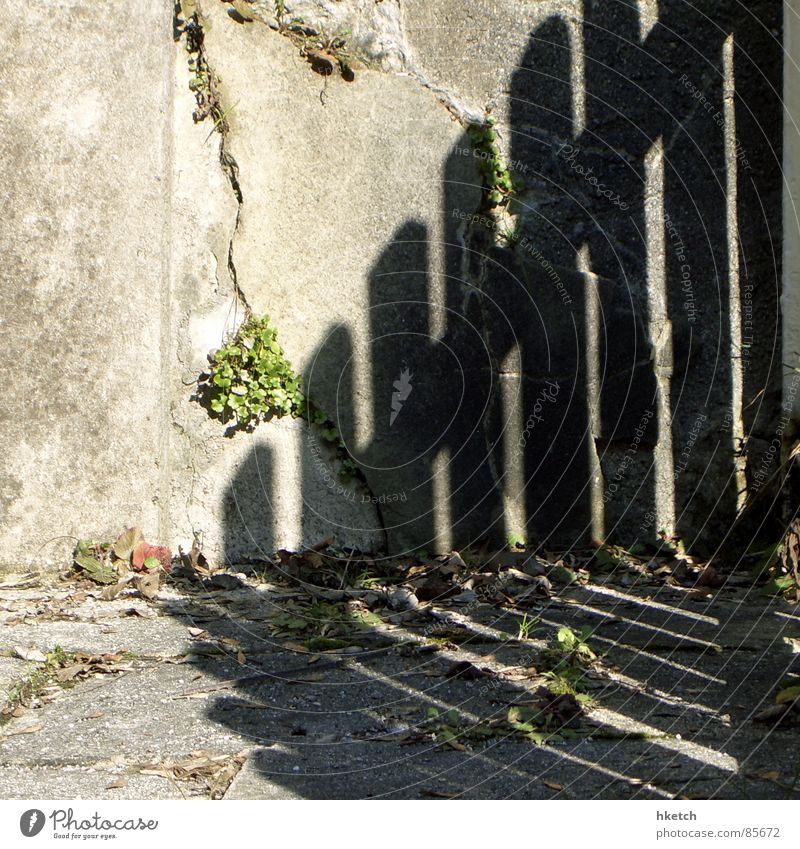 Zaungastspiel Mauer Holz morsch Wand brechen Schatten Schattendasein Am Rand verdunkeln Furche Riss verfallen Detailaufnahme Himmelskörper & Weltall Sonne Stein