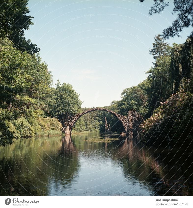 kromlau Umwelt Natur Landschaft Wolkenloser Himmel Sommer Schönes Wetter Park Wald See Fluss Kromlau Sachsen Brücke Stein natürlich rund Idylle einzigartig