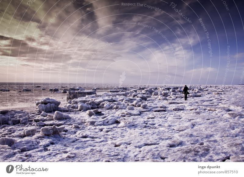 Schneestrand Umwelt Natur Urelemente Himmel Wolken Sonnenaufgang Sonnenuntergang Winter Klima Klimawandel Schönes Wetter Eis Frost Küste Nordsee Meer Insel