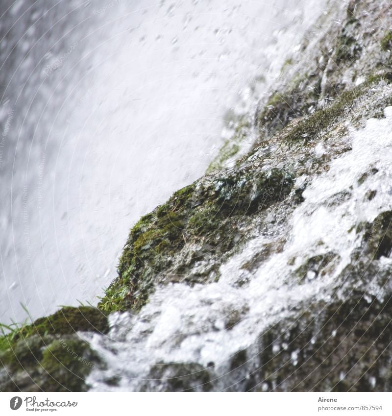 von Klippe zu Klippe Umwelt Natur Landschaft Urelemente Wasser Wassertropfen Gras Felsen Alpen Berge u. Gebirge Wasserfall frisch gigantisch nass natürlich grau