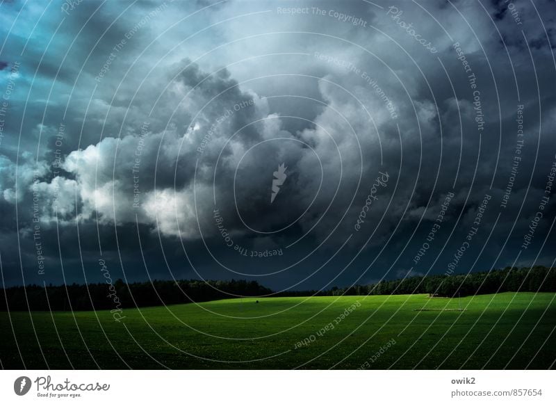 Cumulus mit Grünstreifen Ferne Umwelt Natur Landschaft Pflanze Himmel Wolken Gewitterwolken Horizont Klima Wetter Schönes Wetter Wind Gras Wiese Wald