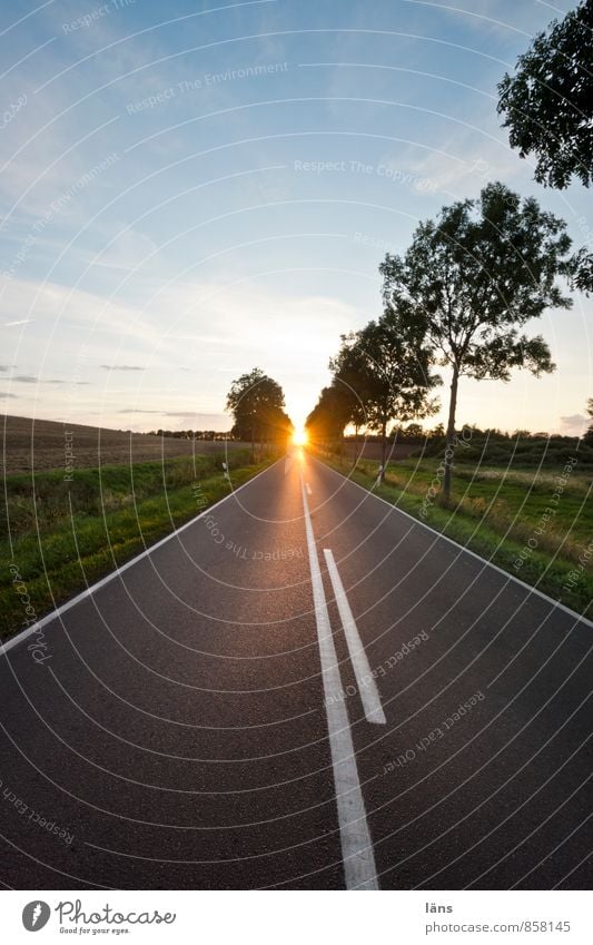 wegweisend Ferien & Urlaub & Reisen Ausflug Ferne Freiheit Himmel Horizont Sonne Sonnenaufgang Sonnenuntergang Sommer Schönes Wetter Verkehr Verkehrswege