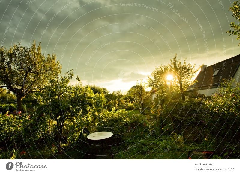 Westen Garten Gewitter Himmel Schrebergarten Kleingartenkolonie Sonne Sonnenstrahlen Sonnenuntergang Wetter Wolken Wolkendecke Tiefdruckgebiet Nachbar