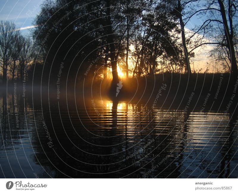 die_spree Sonnenuntergang Spree Kajak Stillleben Fluss Bach Abend Wasser Ferien & Urlaub & Reisen