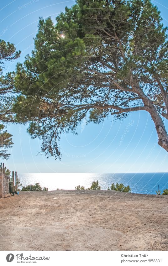 Meerblick Spanien Mallorca Wohlgefühl Zufriedenheit Erholung Schwimmen & Baden Tourismus Ausflug Ferne Freiheit Sommerurlaub Sonne Wassersport wandern Segeln