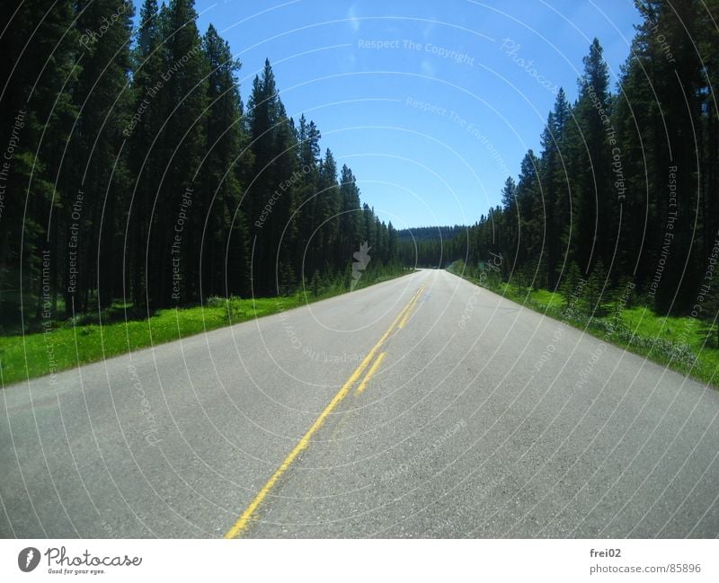 So weit das Auge reicht Autobahn Wald Teer Straßenbelag Landstraße Verkehrswege Straßenverkehr Fernstraße Waldstrasse road street