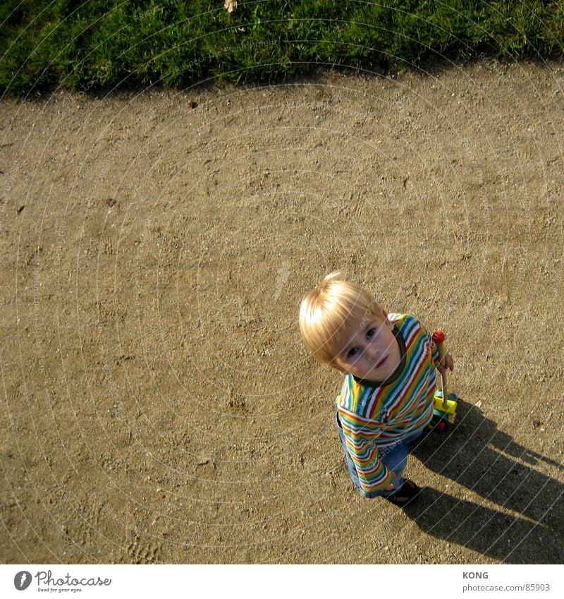 papa ist größer. blond Kind Kleinkind Streifen gestreift Wiese Gras Blick Junge Neugier fixieren beige entdecken Sonnenbad Interesse Kommunizieren oben