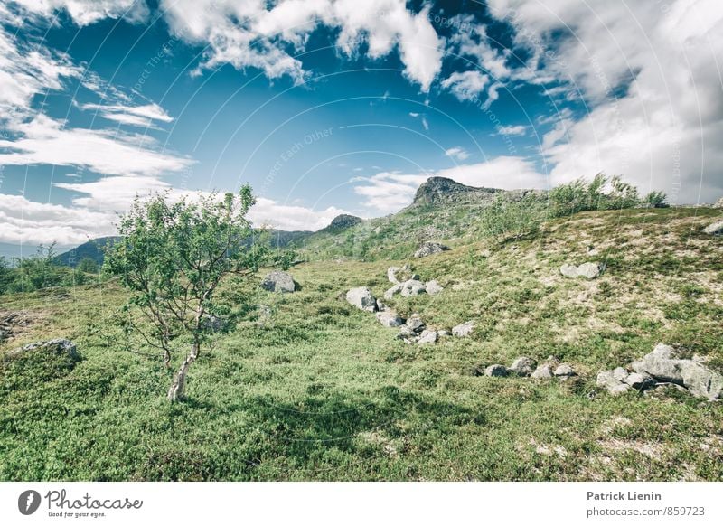 Lappland tundra harmonisch Wohlgefühl Zufriedenheit Ferien & Urlaub & Reisen Ausflug Abenteuer Ferne Freiheit Expedition Camping Berge u. Gebirge wandern Umwelt