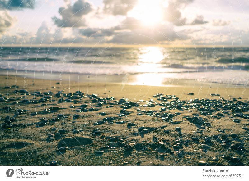 Strandtag Lifestyle Ausflug Abenteuer Ferne Freiheit Sommer Sonne Sonnenbad Meer Insel Umwelt Natur Landschaft Urelemente Wasser Himmel Wolken Sonnenaufgang