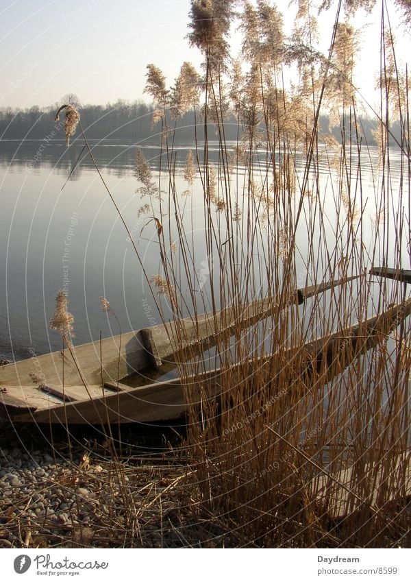 Überflutet Wasserfahrzeug fluten Schilfrohr See Küste