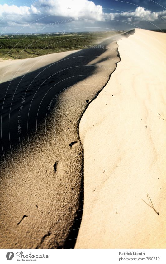 Day in the Dunes VII Wellness Leben harmonisch Wohlgefühl Zufriedenheit Sinnesorgane Erholung ruhig Ferien & Urlaub & Reisen Tourismus Ausflug Abenteuer Ferne