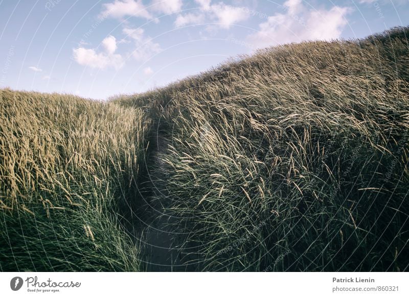 Day in the Dunes V Wellness Leben Wohlgefühl Zufriedenheit Sinnesorgane Erholung Meditation Ferien & Urlaub & Reisen Tourismus Ausflug Abenteuer Ferne Freiheit