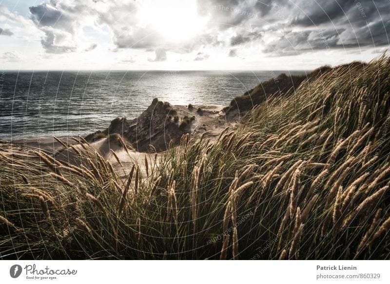 Day in the Dunes III Ferien & Urlaub & Reisen Tourismus Ausflug Ferne Freiheit Umwelt Natur Landschaft Pflanze Urelemente Luft Wasser Himmel Wolken Wetter