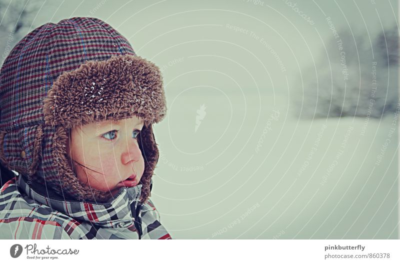 kleiner Schneebär Kleinkind Junge Kindheit Kopf Gesicht Auge Nase 1 Mensch 1-3 Jahre Natur Landschaft Winter Baum Park Schneeanzug Mütze beobachten träumen kalt