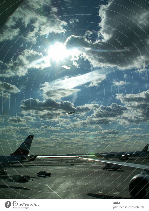 Abflug Flugzeug Licht Triebwerke Horizont Ferne Ankunft Luftverkehr Sonne Himmel Flughafen Landebahn Schaltpult Flügel