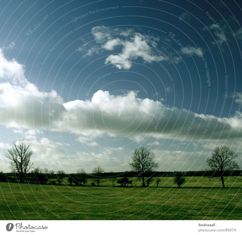 SchönWetter2 schön Sommer Frühling Pol- Filter Feld Wiese Meteorologie Sträucher Himmel Sonne Schönes Wetter Blauer Himmel Amerika Landschaft Klima