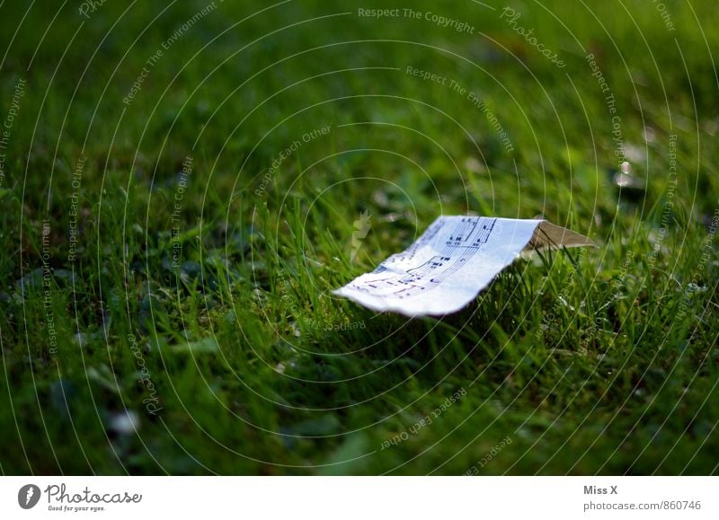 ein leises Liebeslied Musik Musiknoten Gras Wiese Papier Zeichen Gefühle Stimmung Verliebtheit träumen Sehnsucht Lied Notenblatt Leichtigkeit Farbfoto