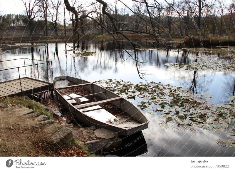 Boot und Teich im Herbstwald schön Natur Wetter Baum Blatt Park Wald See Fluss Wasserfahrzeug hell gelb gold grün Romantik Farbe fallen romantisch Jahreszeiten