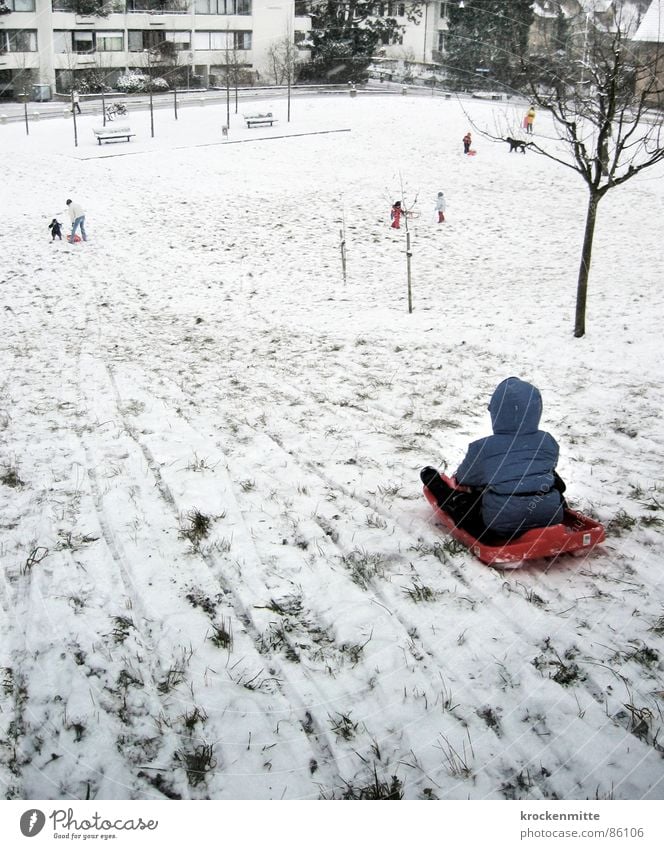 am Idiotenhügel Rodeln Vorstadt Kind kalt Kleinkind Freude Winter Spielen Skijacke Schnee Spuren Junge Schneemangel Winterbekleidung Wintersportbekleidung