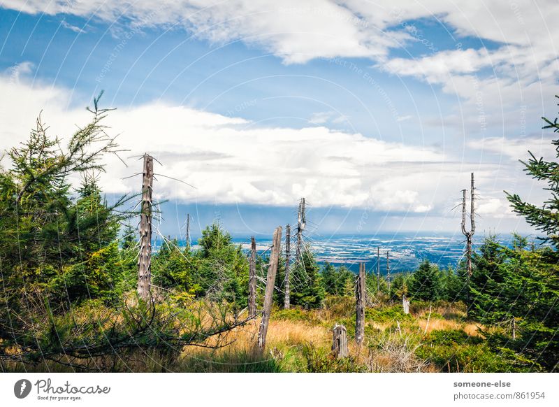 Auf Augenhöhe mit den Wolken Fahrradfahren wandern Landschaft Luft Himmel Regen Baum Berge u. Gebirge ästhetisch Ferne blau ruhig Zufriedenheit Unendlichkeit