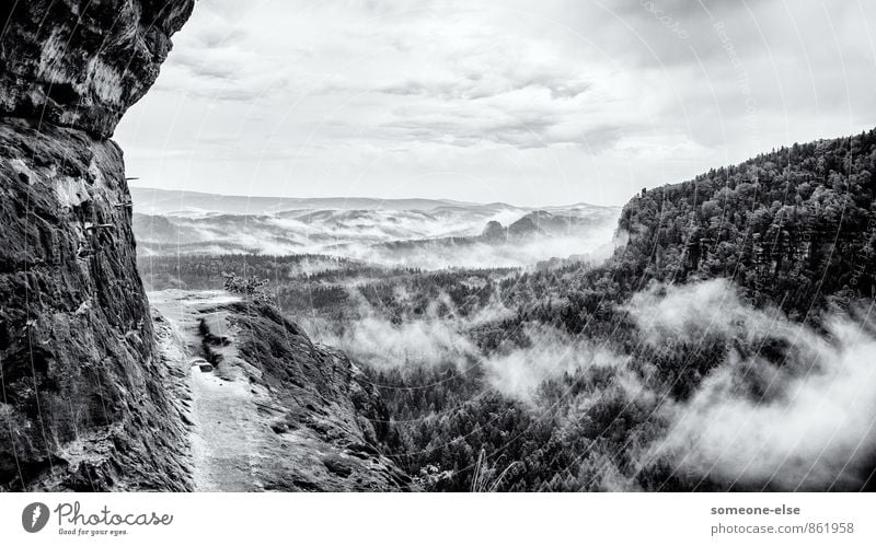 Es kommt Nebel auf. Natur Landschaft Wetter schlechtes Wetter Gewitter Wald Hügel Felsen Berge u. Gebirge Sächsische Schweiz Tal beobachten ästhetisch