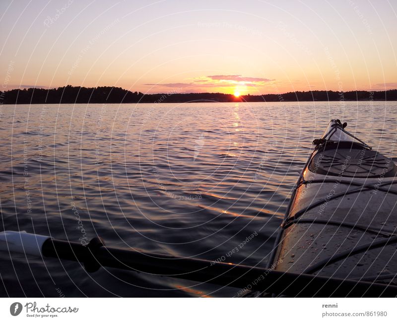 Ruhe über Wasser Ferien & Urlaub & Reisen Tourismus Ausflug Freiheit Expedition Sommer Sonne Kajak Natur Landschaft Sonnenaufgang Sonnenuntergang Küste Ostsee