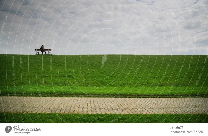 Deichkind. Langeoog Gedanke ruhig Erholung Gras Wiese Fahrradweg schlechtes Wetter grün Inselbewohner Küste Ferne Blick Umwelt trüb warten Einsamkeit