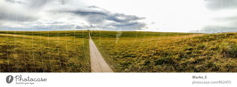 Strandweg, Sankt Peter Ording Ferien & Urlaub & Reisen Tourismus Ausflug Abenteuer Sommer Sommerurlaub Sonnenbad Meer Insel Wellen Farbfoto Außenaufnahme Tag