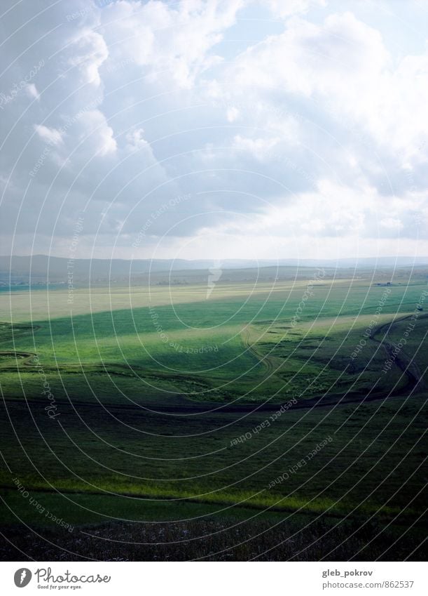 Sibirische Natur Landschaft Erde Wolkenloser Himmel Gewitterwolken Horizont Sommer Wetter Schönes Wetter Wind Gras Feld Fröhlichkeit Optimismus Macht