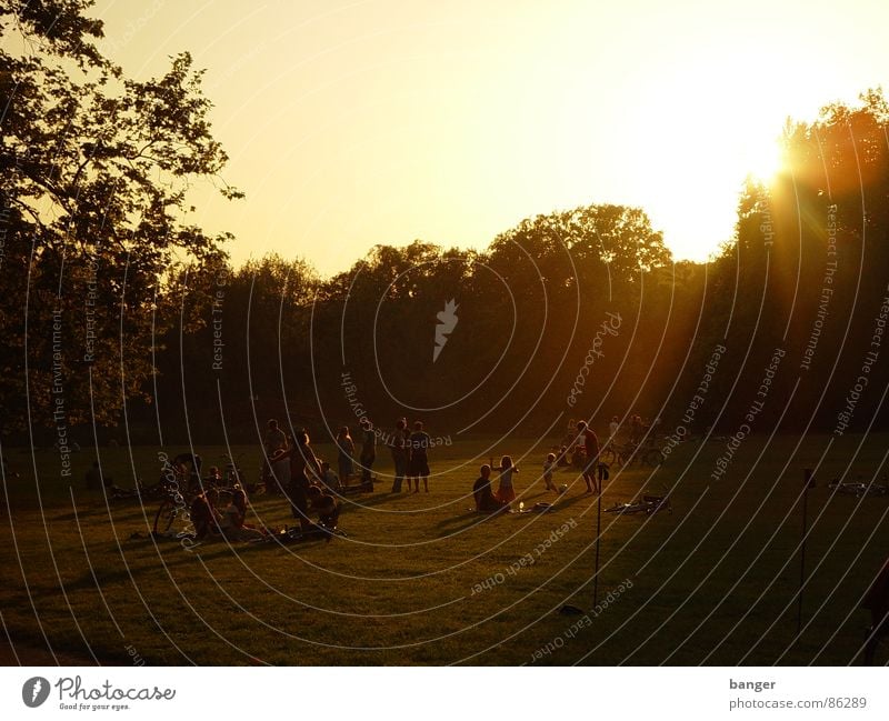 park life Sommer Park Feiertag Sonne Abend Sonnenuntergang Abendsonne Abenddämmerung Menschengruppe mehrere Freizeit & Hobby Feierabend Gegenlicht