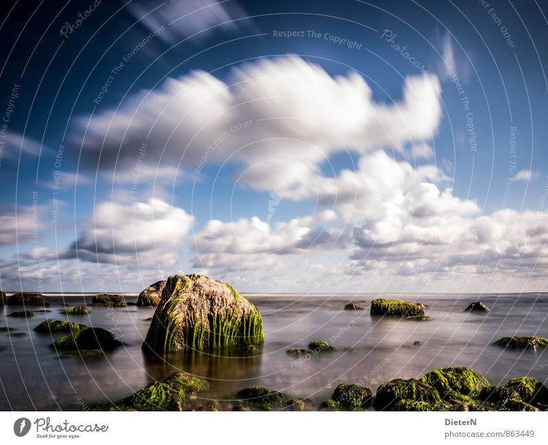 Bewachsen Umwelt Natur Landschaft Luft Wasser Himmel Wolken Sommer Wetter Schönes Wetter Wind Küste Strand Ostsee blau grün schwarz weiß Stein Algen