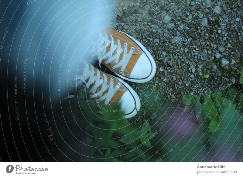 Lieblingsschuhe Schuhe Turnschuh wandern Waldspaziergang Chucks orange Schuhbänder Waldweg Farbfoto Außenaufnahme Textfreiraum links Textfreiraum rechts