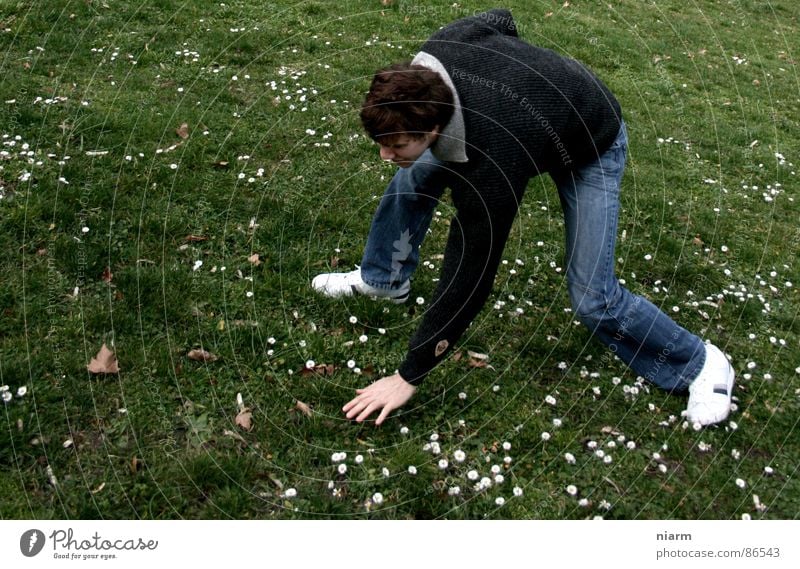 akrobatische Höchstleistung mit Blümchen heben Wiese grün Gans Gänseblümchen Frühling März April Mai Blüte Blume Blumenwiese Alm Gras Zärtlichkeiten Bergwiese