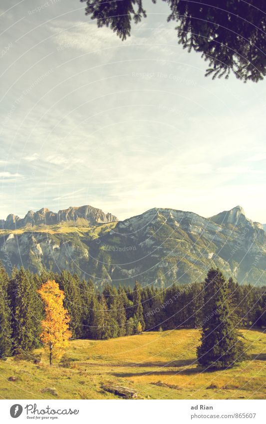 Out of the Black Berge u. Gebirge wandern Umwelt Natur Landschaft Pflanze Tier Himmel Wolken Horizont Herbst Baum Gras Moos Wildpflanze Wald Hügel Alpen Gipfel