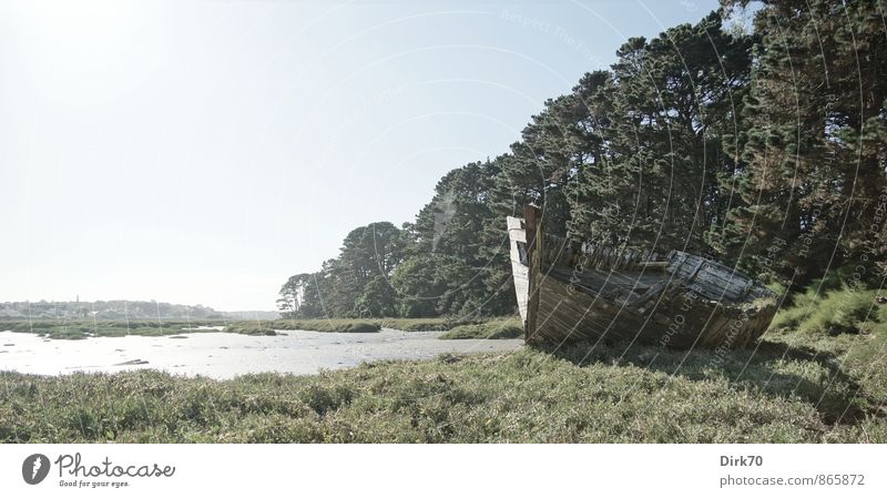 Letzte Ruhestätte Fischereiwirtschaft Wolkenloser Himmel Gras Moos Algen Wald Küste Strand Bucht Meer Atlantik Le Conquet Schifffahrt Segelschiff Schiffswrack