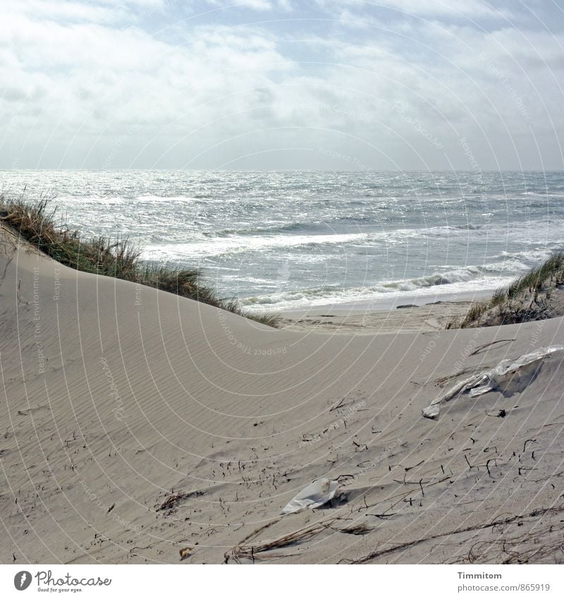 Dreck. Ferien & Urlaub & Reisen Umwelt Natur Landschaft Urelemente Sand Wasser Himmel Sonnenlicht Sommer Schönes Wetter Pflanze Dünengras Wellen Strand Nordsee