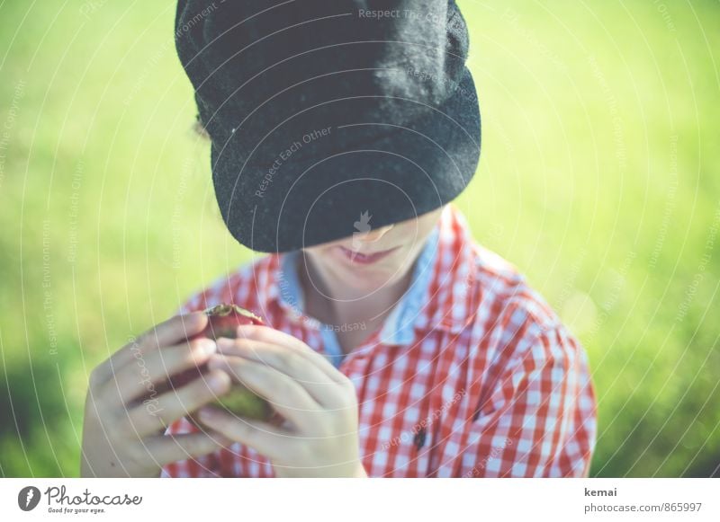 kost.bar | Aber sauer Lebensmittel Apfel Freizeit & Hobby Mensch maskulin Junge Kindheit Kopf Hand Finger 1 3-8 Jahre Natur Gras Wiese Hemd kariert Mütze Essen