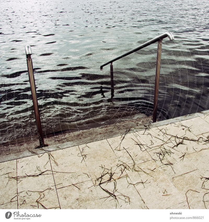 Baden geh´n Wasser schlechtes Wetter Gras Küste Meer Geländer Treppengeländer Einstieg (Leiter ins Wasser) Schwimmen & Baden dunkel Unlust Farbfoto