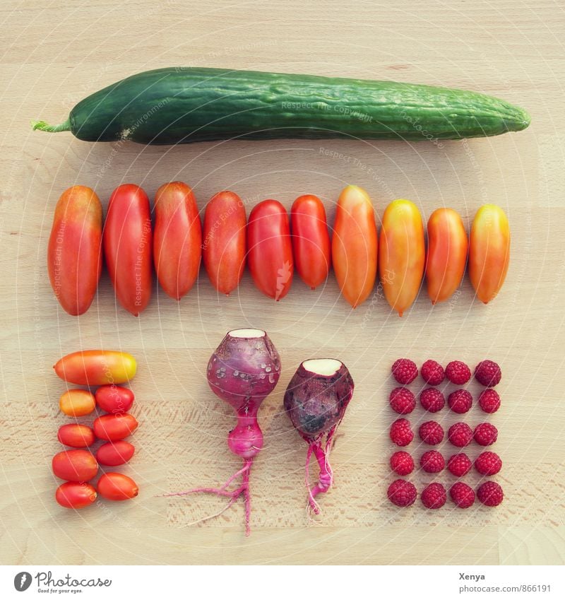 Aus dem Garten Lebensmittel Gemüse Tomate Radieschen Himbeeren Gurke grün rot Ernte ökologisch Farbfoto Außenaufnahme Menschenleer Tag